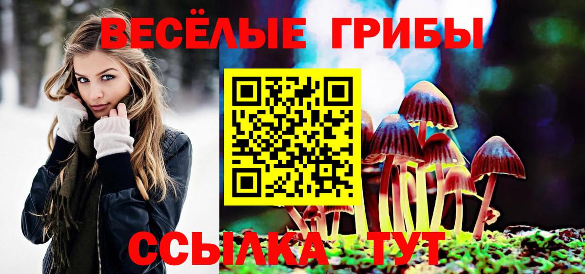 Псилоцибиновые грибы MAGIC MUSHROOMS Скопин