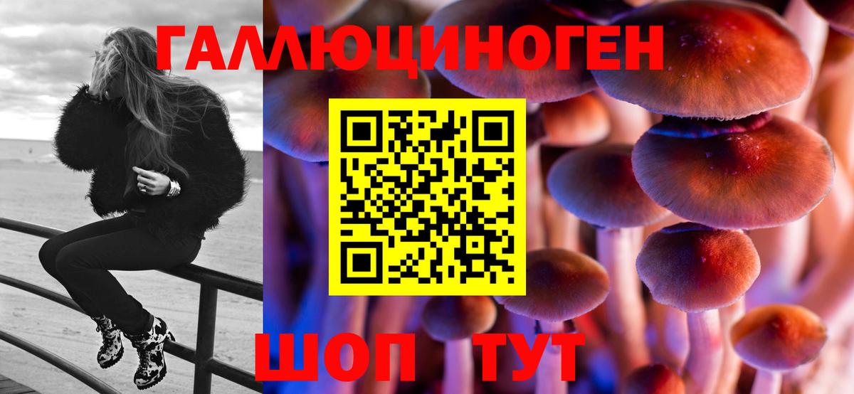 Галлюциногенные грибы Cubensis  Псилоцибиновые грибы MAGIC MUSHROOMS  купить  цена  Вход с VPN  Скопин 