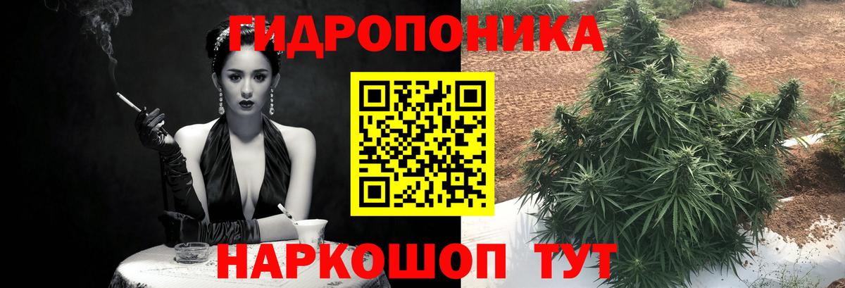 МАРИХУАНА план Скопин